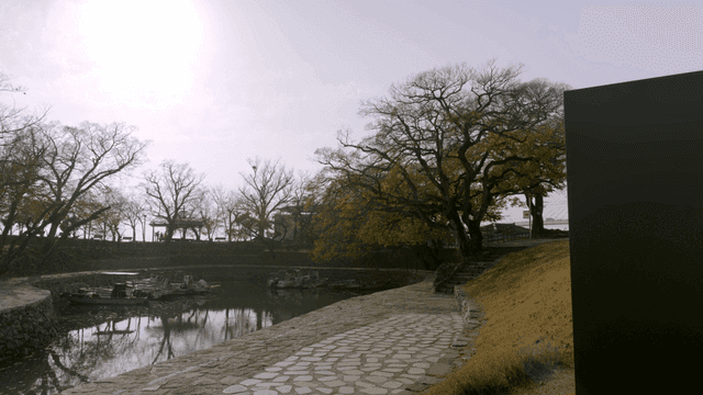 Tranquil lakeside with boats and trees