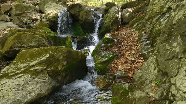이끼 낀 바위 위로 흐르는 작은 폭포