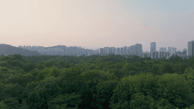 서울 도심 속 푸른 숲