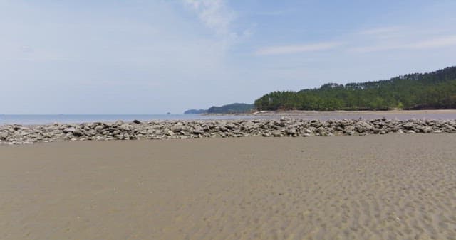 Tranquil beach with distant forest