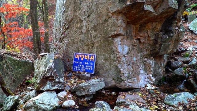 Large rock with sign in forest with colorful foliage