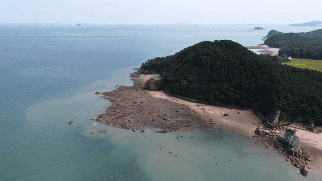 Coastal scenery with green forest