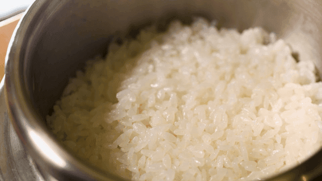 Freshly cooked rice in pot