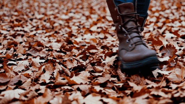 가을 낙엽 위를 걷는 모습