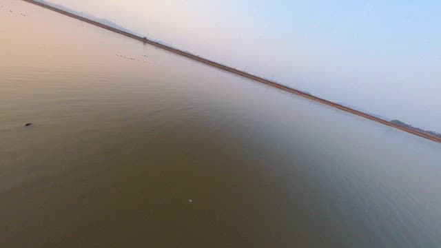 수면에 석양이 비치는 고요한 늪지