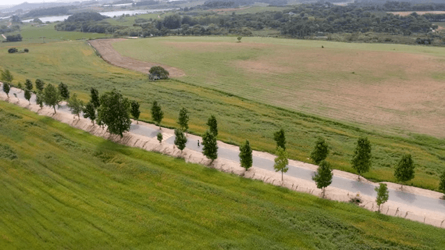 Scenic road through vast green fields