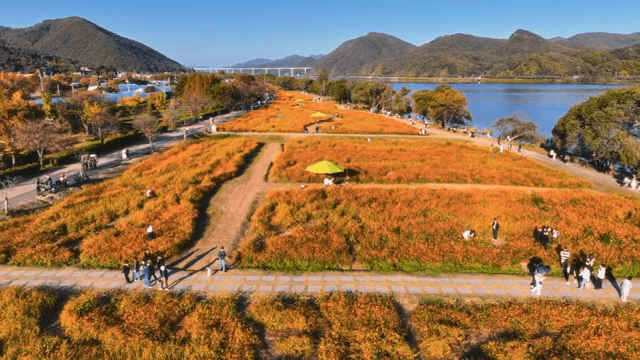 화려한 꽃밭이 있는 경치 좋은 공원