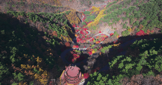 가을빛으로 물든 언덕과 구불구불한 도로가 어우러진 전망대 전경