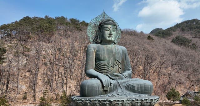 Magnificent Buddha Statue in Harmony with Nature