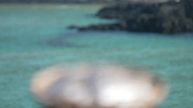 바다 옆에 있는 나무 바구니 안의 싱싱한 조기