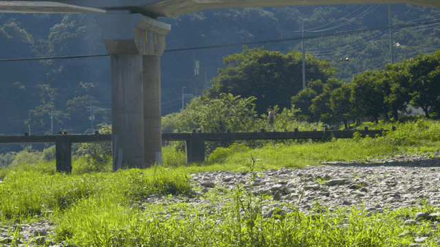Woman walking on bridge in nature