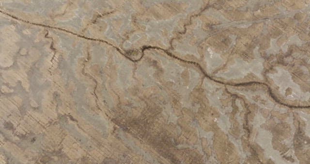 아무것도 없는 황무지