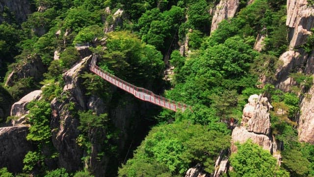 Tree-covered rocky mountain with a red suspension bridge visible