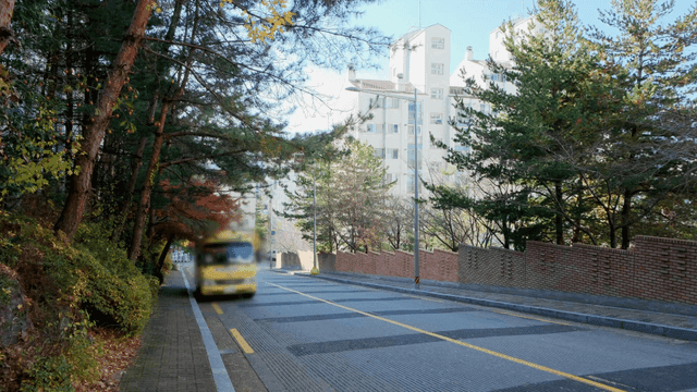 Narrow road in front of apartment with autumn leaves