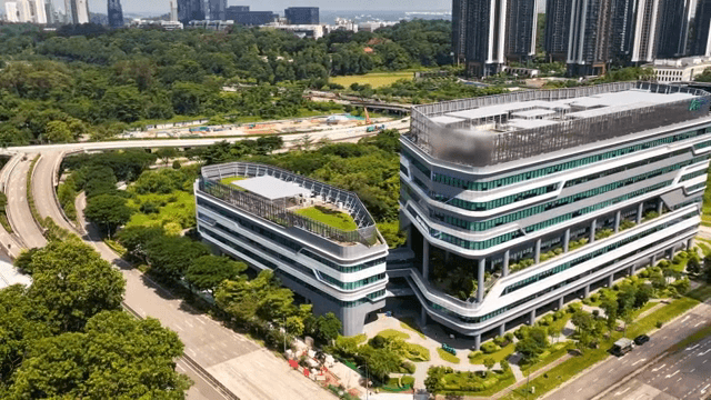 교통이 활발한 도시 풍경