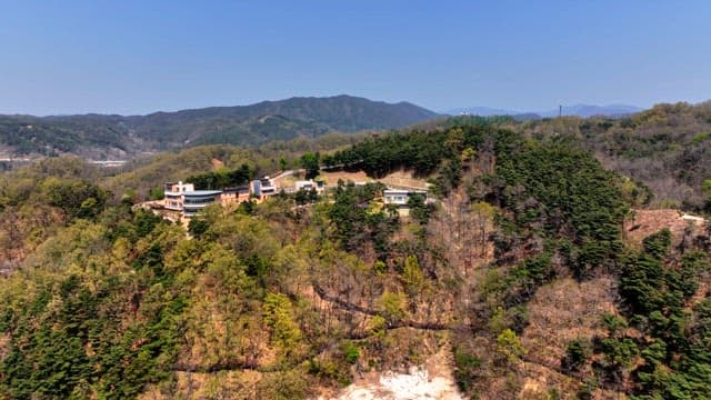 Scenic view of a forested hillside with modern buildings
