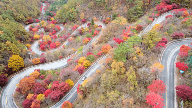 Winding road through colorful autumn forest