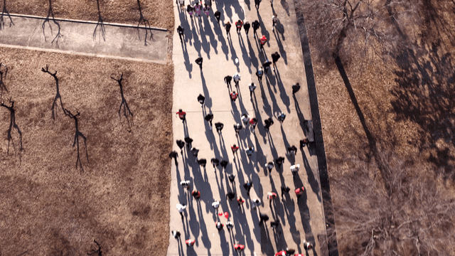 People jogging in park