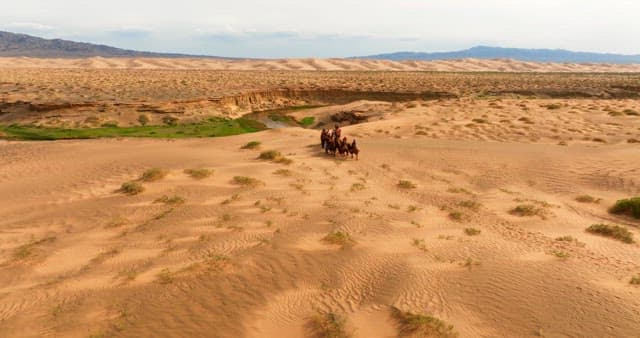 Caravan of camels crossing a desert