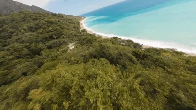 푸른 숲과 해안선의 경치