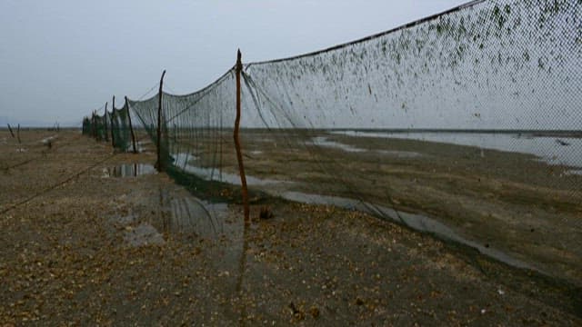 Fishing nets near the shore with the tide coming in