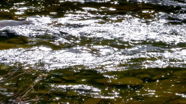 Water surface sparkling with sunlight reflecting on the flowing stream