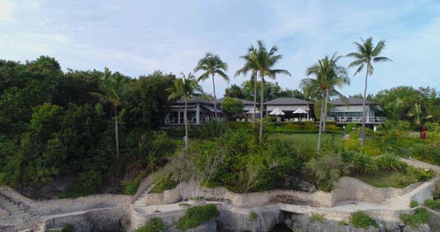 Tropical Trees and Resort Aerial View by the Ocean