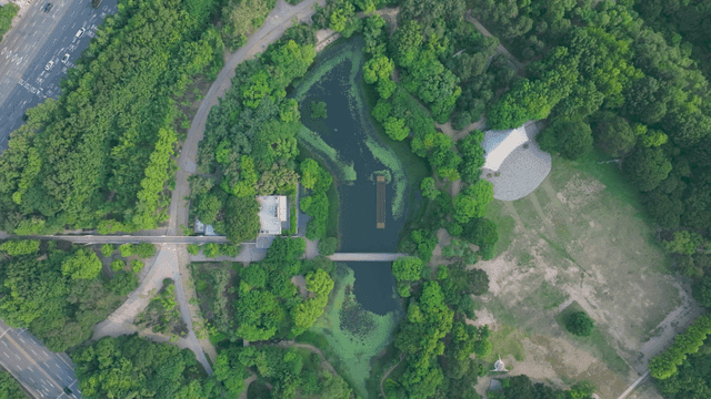 Green park with pond