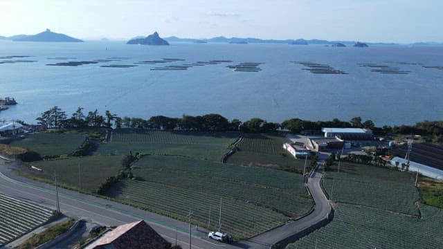 Coastal Countryside with Agricultural Fields