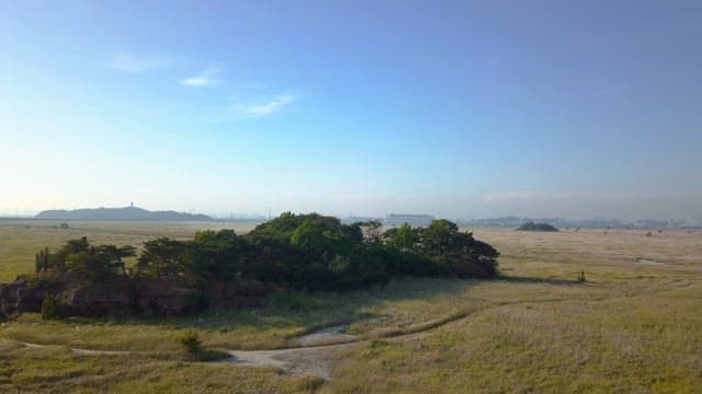 Vast field with scattered trees