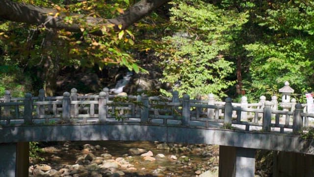 우거진 숲 속 돌 다리 