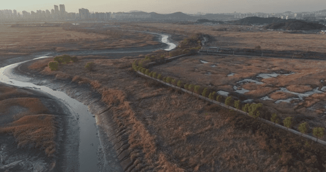 멀리 도시가 보이는 광활한 습지
