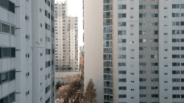 Tall apartment buildings with autumn trees