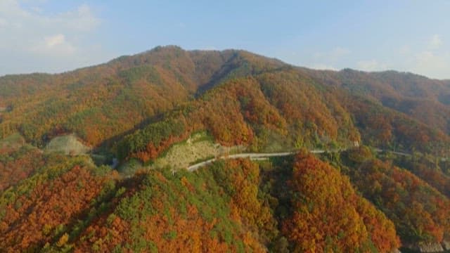 알록달록한 가을 숲 전경