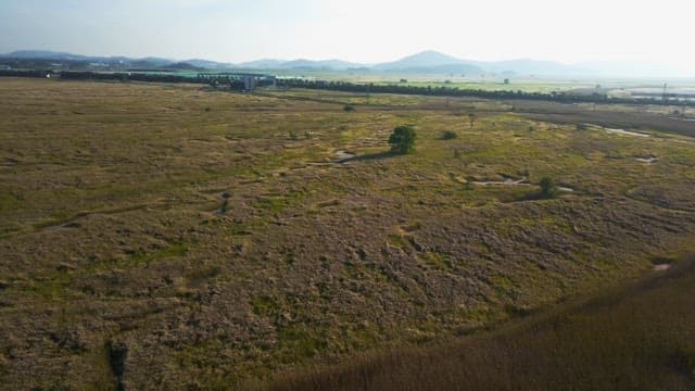 Vast field with distant mountains