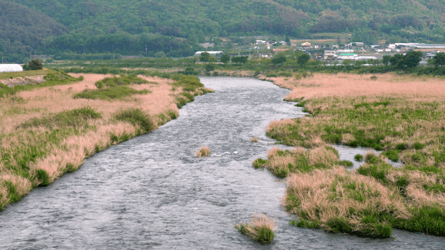 시골 풍경을 흐르는 고요한 강