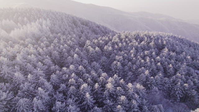 Mountains Covered White with Snow at Dawn