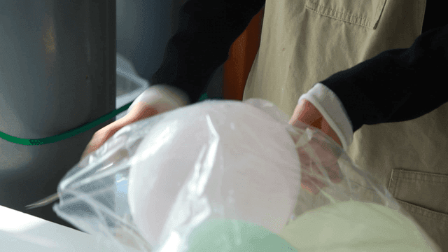 Hands sealing plastic bag full of balloons