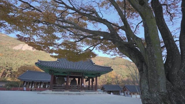 Traditional Korean temple in autumn