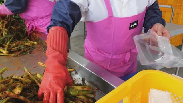 Person preparing and packaging traditional kimchi