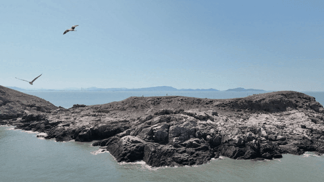 Rocky coastline with seagulls flying