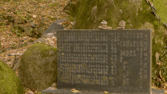 Stone monument with Chinese characters engraved in forest