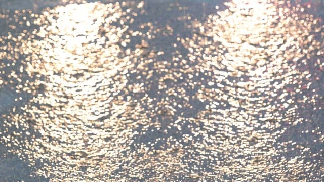 포장 도로 위에 빗방울이 떨어지며 만들어내는 물결