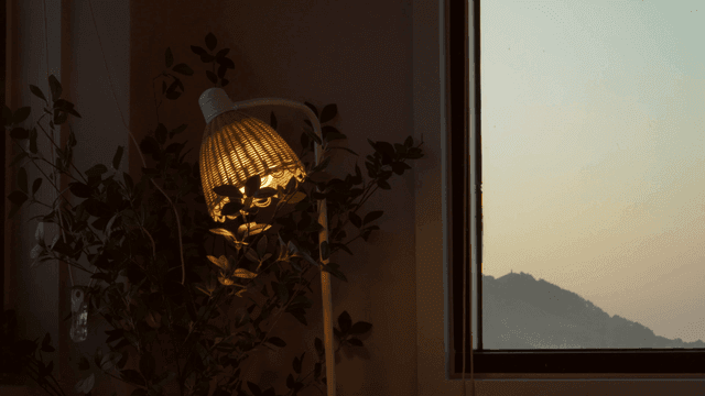 Cozy room with a lamp and window view