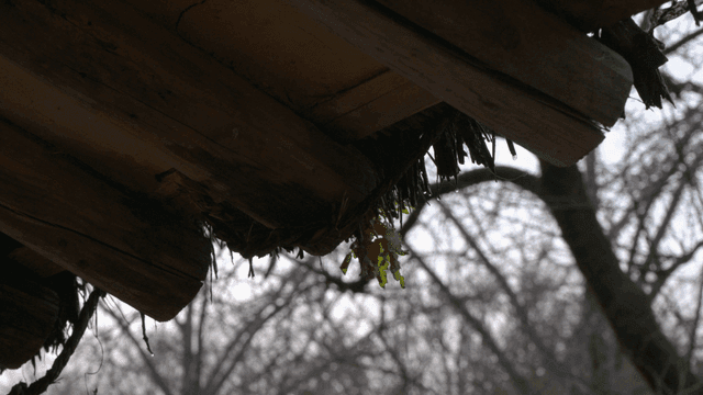 Raindrops on a wooden roof with leaves