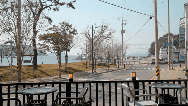 Quiet beach road with cherry blossoms in bloom