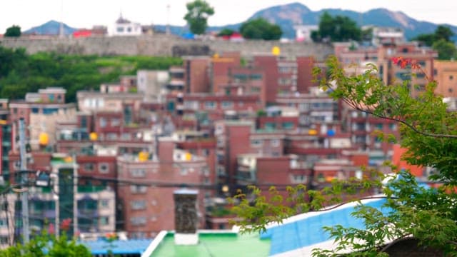 성벽을 따라 밀집된 주택단지