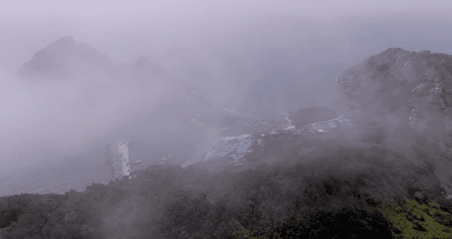 푸른 초목이 우거진 안개 낀 섬