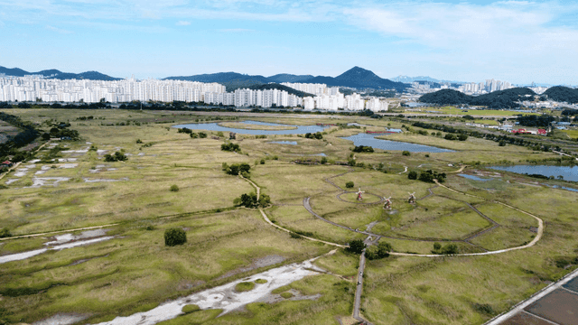 Expansive wetlands with city skyline