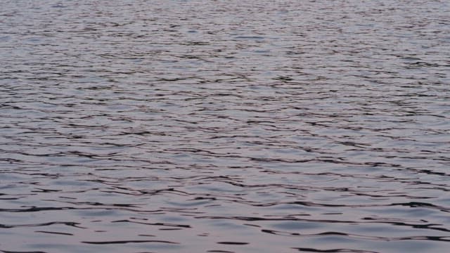 고요한 호수의 부드러운 잔물결